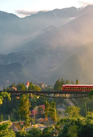 Should You Book Vietnam Tour Packages or Travel Independently?